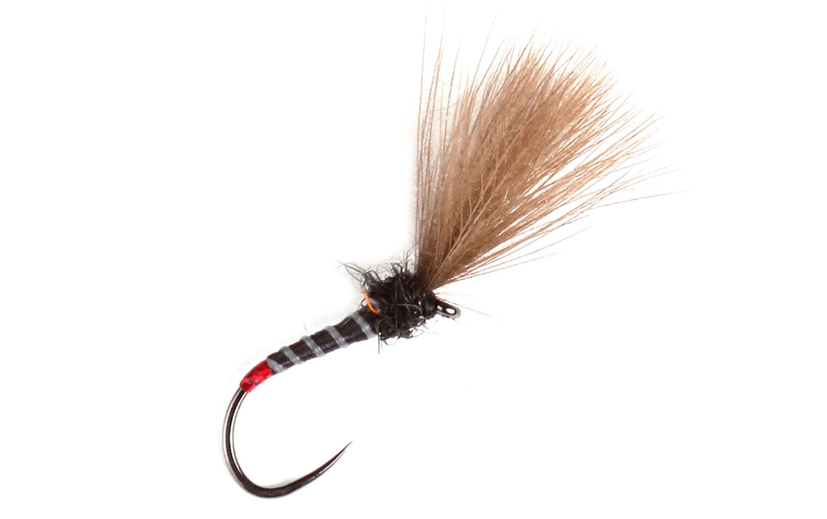 Black Holotag Shuttlecock - Main Image